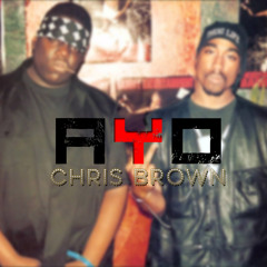 Chris Brown Ayo - 2pac,  Biggie & Busta