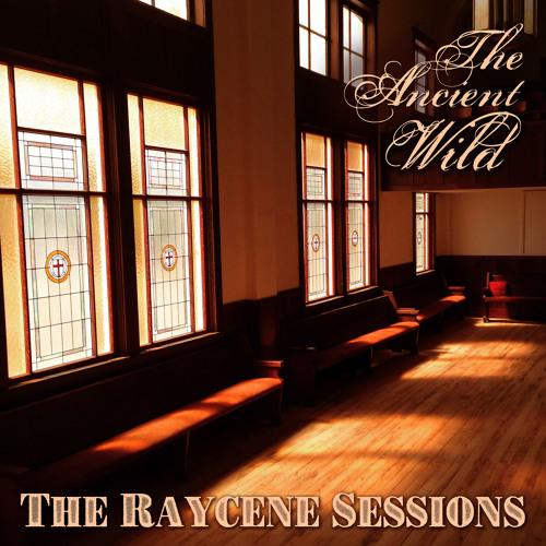 Lifting You Up (live)