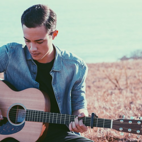 ED SHEERAN - Photograph (Leroy Sanchez Cover)