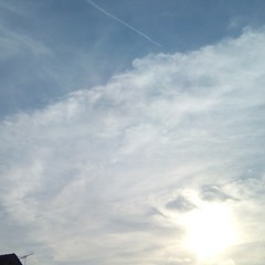 花儿与少年（前奏）