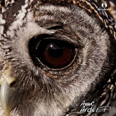 Assuc - Damn Tyrell (Original Mix)