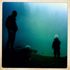 Sølvgrått Skyggeskog