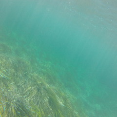 LA CAPTURA DEL SONIDO RADIO SHOW SUMMER MIX 2015 - IBIZA GLOBAL RADIO