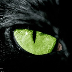 Trust your Instinct .original mix(D1vision) 100free D!