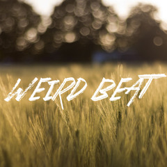 Neverland (ft. Ruth B)