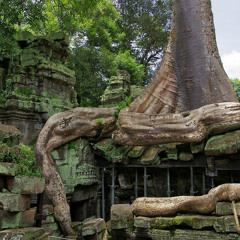 SOMETHING FROM THE JUNGLE
