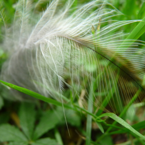 Martin L Gore - Featherlight [weightless remix by the_empath]