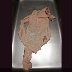 In the Kitchen getting SH!T done \m/