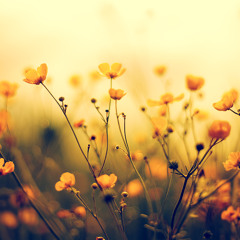 ♥ شكراً يا ربي ♥