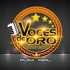 AMOR QUERIDO - Canta:Roberto Moreno