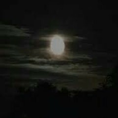 ربنا فالطف بنا - ناصر السعيد ?