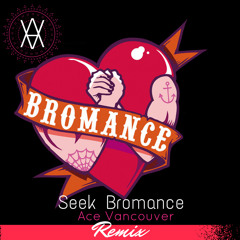 Tim Berg - Seek Bromance (Ace Vancouver Remix)[Free Download]
