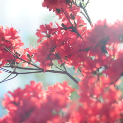 let it go - james bay (cover)