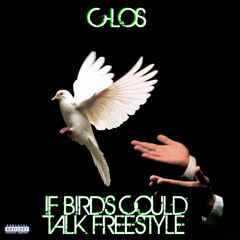 C Los - If Birds Could Talk