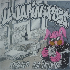 03 LL Lapin Rose - Pac