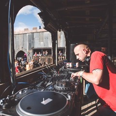 Dave Heaton @ The Beat Herder Fortress 2015