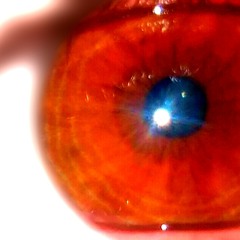 Trintity "chi" Lontes ~ Never Tear Us Apart (INXS cover)