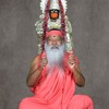 Hanuman Mantra Chanted by Sri Ganapathi Sachchidananda Swamiji