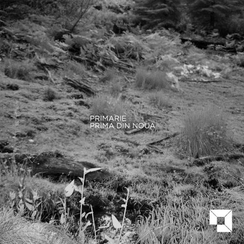 Primarie - Inca Odata (Original Mix)