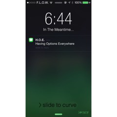 H.O.E. (Having Options Everywhere)