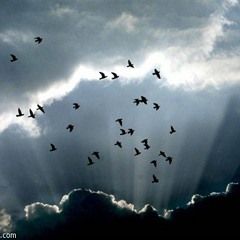 سوجي ها لحمام