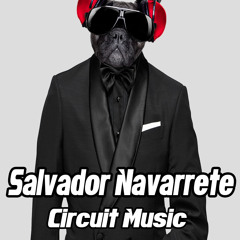 Salvador Navarrete - Set Live Agosto 2015 (Circuit Music)