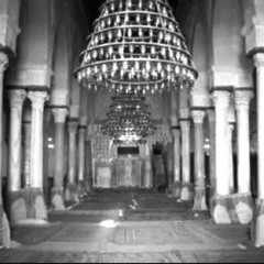 يا ذروة المعالي - الشيخ محمد الزيتوني