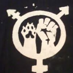 Perro Peligroso _ Mekong Xanga ( HGK )