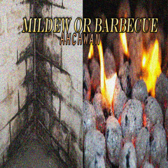 Mildew or Barbecue