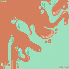 Bump / Meadow