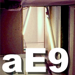 aE9