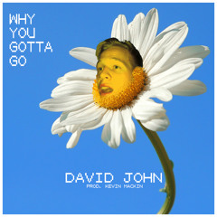 Why You Gotta Go [Prod. Kevin Mackin]