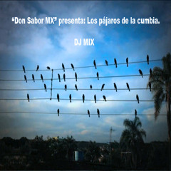 Los pájaros de la cumbia - Don Sabor MX