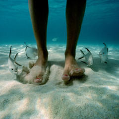 Where I Come From (part one)