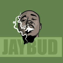 Jay Bud ? - Feel My Pain