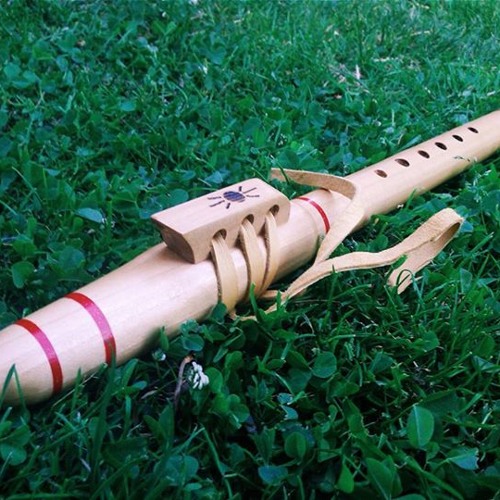 Michał - Ostatni Mohikanin