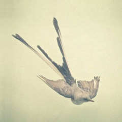 1 Dine Peyote song by KrIx * 2011