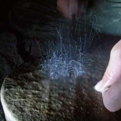 1 Kiowa - Comanche Peyote song by Attila