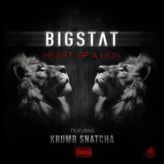 11 Heart Of A Lion