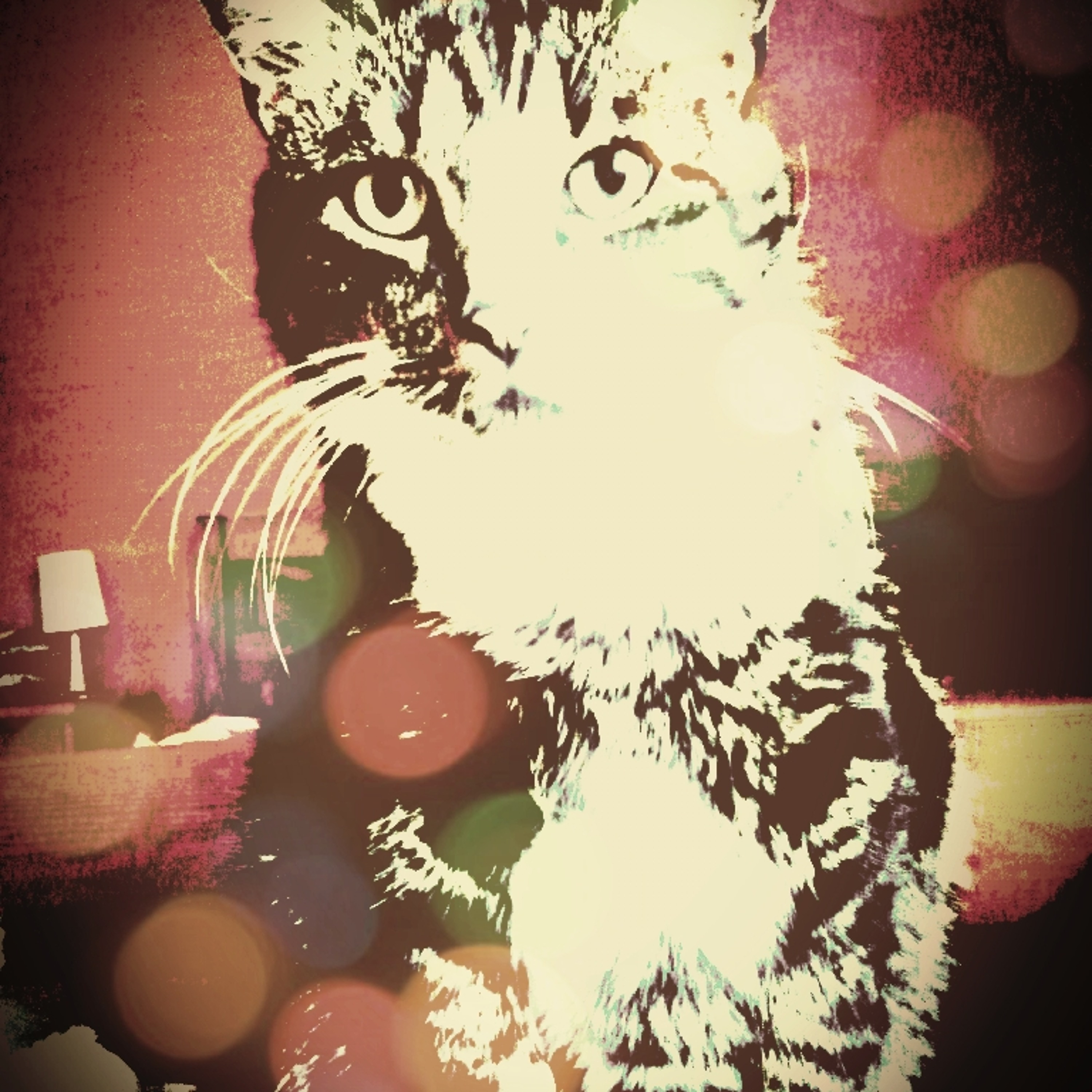 armn