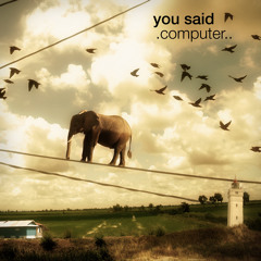 .computer.. | you said