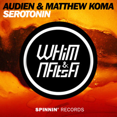 Audien & Matthew Koma - Serotonin (DJ Whim & Natsa Edit) | "Buy" For FREE FULL DONWLOAD!