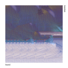 Squizz - Sidewalk (Album Snippet)