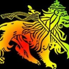 ♫♫ raggamuffin ♫♫ analizen