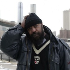 Sean Price - Snow (Pure Fact Tribute Remix)