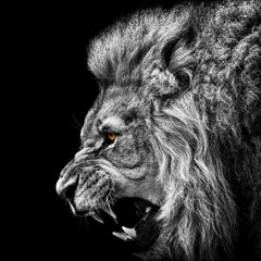 At The End Of It All