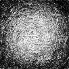 Geicha - Atze Ton (D - ZyBell - Rmx)