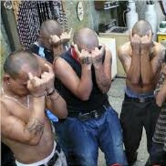 Ms 13 marineros locos