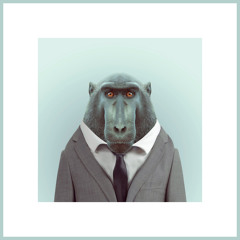 Jumping on Strings - Evil Monkey