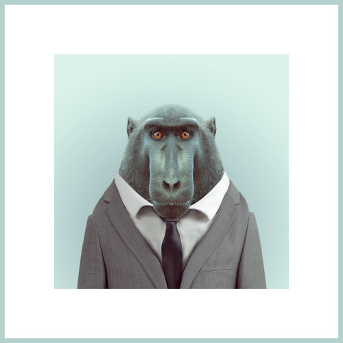 Jumping on Strings - Evil Monkey